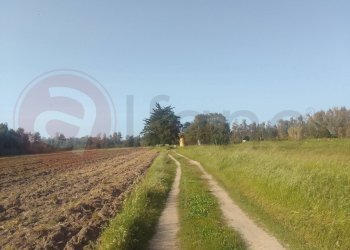 Laboratorio Via Nucleo Centro Uno, Arborea - foto 7