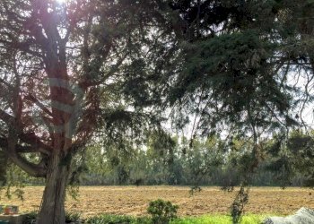 Laboratorio Via Nucleo Centro Uno, Arborea - foto 8