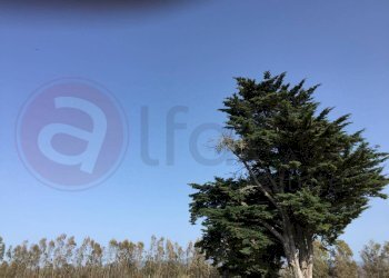 Laboratorio Via Nucleo Centro Uno, Arborea - foto 9