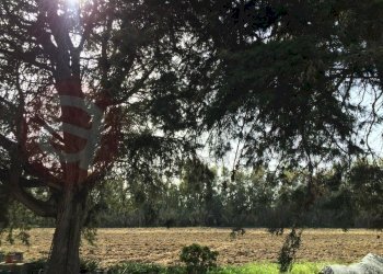 Laboratorio Via Nucleo Centro Uno, Arborea - foto 10