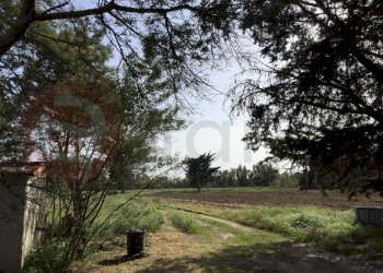 Laboratorio Via Nucleo Centro Uno, Arborea - foto 11