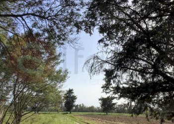 Laboratorio Via Nucleo Centro Uno, Arborea - foto 12