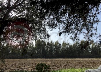 Laboratorio Via Nucleo Centro Uno, Arborea - foto 13