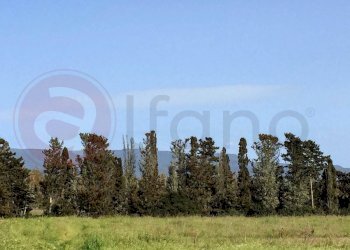 Laboratorio Via Nucleo Centro Uno, Arborea - foto 14