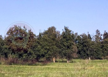 Laboratorio Via Nucleo Centro Uno, Arborea - foto 15