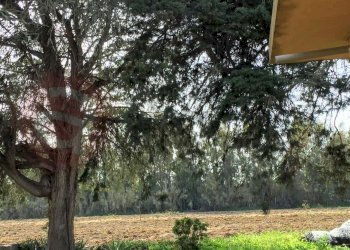 Laboratorio Via Nucleo Centro Uno, Arborea - foto 16