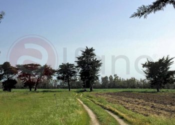 Laboratorio Via Nucleo Centro Uno, Arborea - foto 17