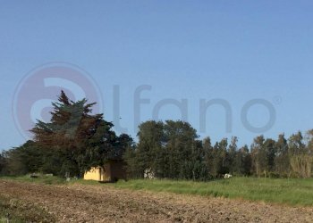 Laboratorio Via Nucleo Centro Uno, Arborea - foto 20