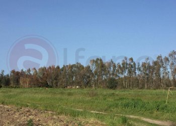 Laboratorio Via Nucleo Centro Uno, Arborea - foto 21