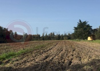 Laboratorio Via Nucleo Centro Uno, Arborea - foto 22