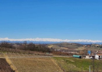 Terreno - Rustico Regione Brussacco, Agliano Terme - foto 6