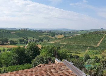 Vista - Rustico Regione Brussacco, Agliano Terme - foto 5