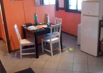 Bilocale Parma - foto 6