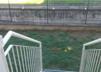 Bilocale Parma - foto 9