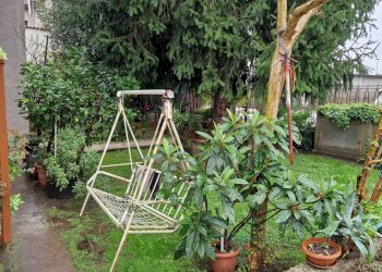 WhatsApp Image 2024-10-24 at 17.36.31.jpeg - Villa Ceregnano - photo 3