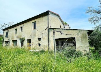 IMG_8098.jpeg - Rustic Offagna, Ancona - photo 6