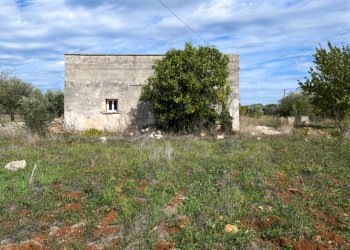 senza titolo-3.jpg - Casa indipendente CONTRADA LE CAMERE, Ostuni - foto 7