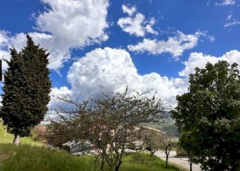 Villa Bardi - foto 21