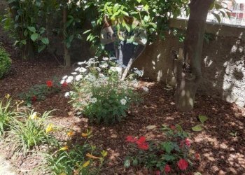 Casa indipendente Napoli (zona Montecalvario) - foto 5