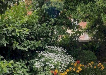 Casa indipendente Napoli (zona Montecalvario) - foto 6