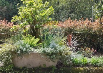 Casa indipendente Napoli (zona Montecalvario) - foto 7