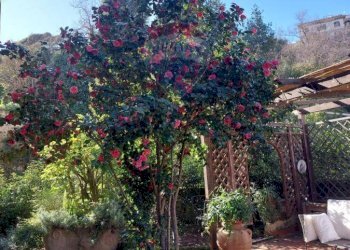 Casa indipendente Napoli (zona Montecalvario) - foto 21