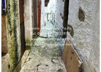 Giardino - Independent house via Vittorio Emanuele, 37, Valle Cannobina - photo 39