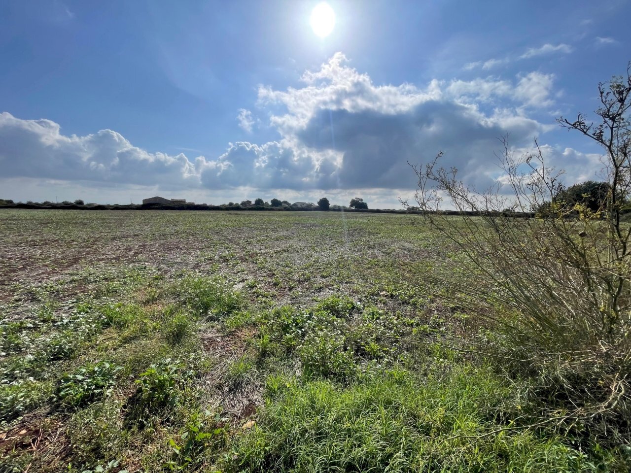 IMG_6298.jpg - Terreno agricolo Via ciancia porta di ferro, Modica - foto 2