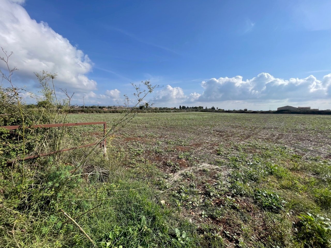 IMG_6299.jpg - Terreno agricolo Via ciancia porta di ferro, Modica - foto 3