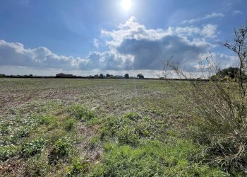 IMG_6298.jpg - Terreno agricolo Via ciancia porta di ferro, Modica - foto 2