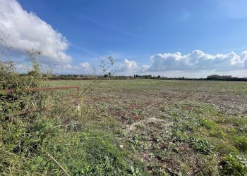 IMG_6299.jpg - Terreno agricolo Via ciancia porta di ferro, Modica - foto 3