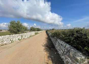 IMG_6300.jpg - Terreno agricolo Via ciancia porta di ferro, Modica - foto 4