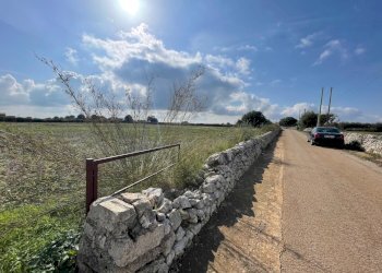 IMG_6301.jpg - Terreno agricolo Via ciancia porta di ferro, Modica - foto 5