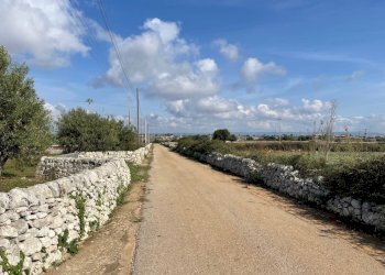 IMG_6303.jpg - Terreno agricolo Via ciancia porta di ferro, Modica - foto 6