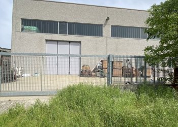 IMG_7482.jpeg - Capannone Vicolo Granata 37, Casalpusterlengo - foto 2