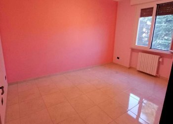 WhatsApp Image 2024-02-20 at 17.11.52.jpeg - Appartamento Solignano - foto 19