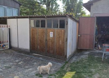 WhatsApp Image 2023-09-25 at 12.11.54.jpeg - Terratetto - Terracielo Terenzo - foto 17