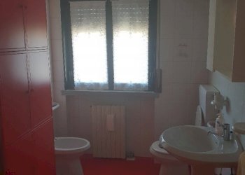 20190430_112918_resized.jpg - Appartamento Varano de' Melegari - foto 20