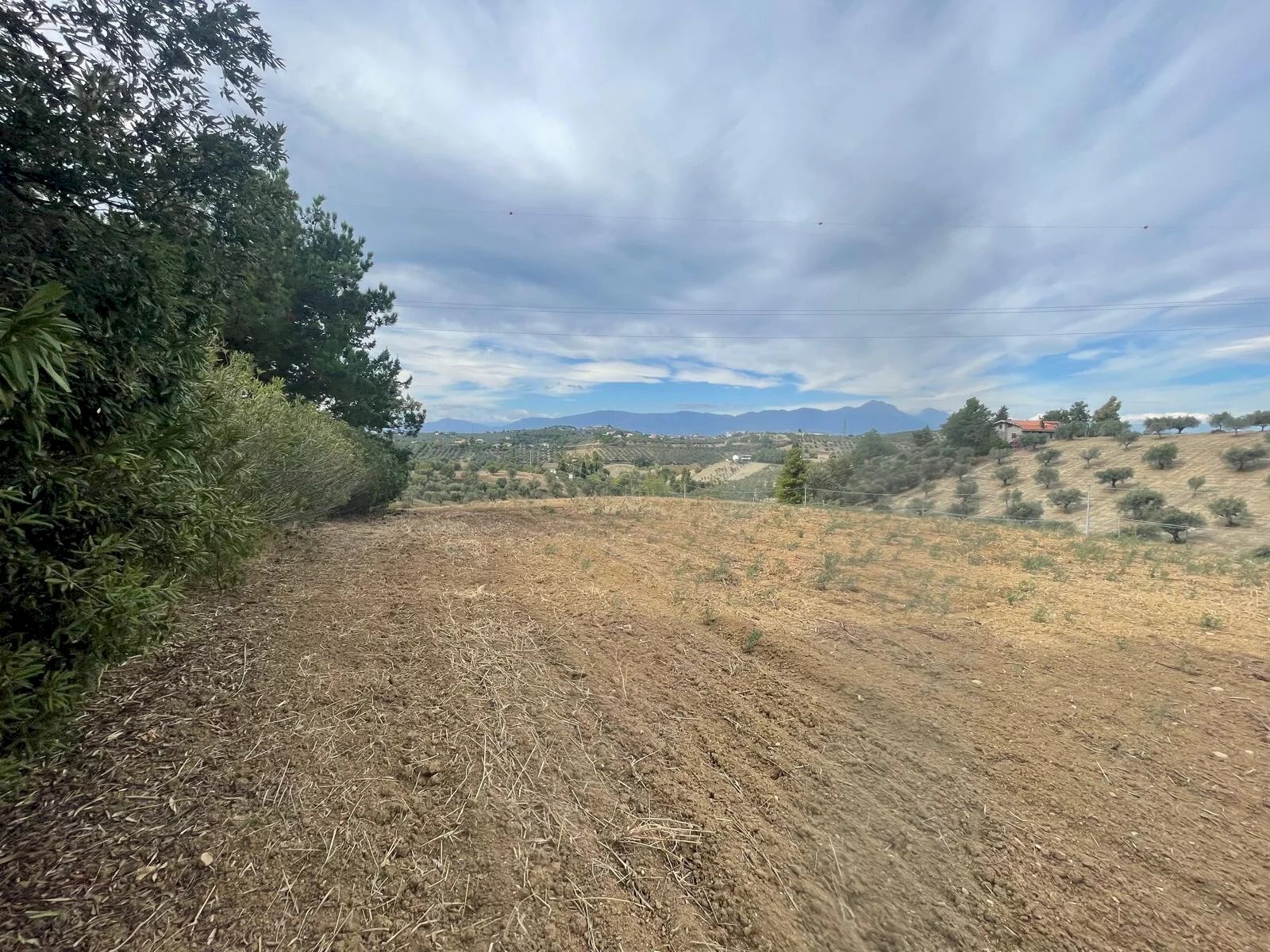 Terreno edificabile CONTRADA VILLA SIBI, Moscufo - foto 2