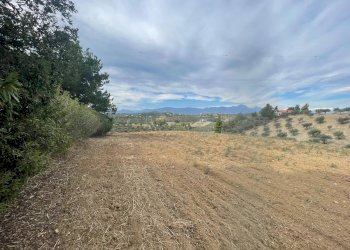 Terreno edificabile CONTRADA VILLA SIBI, Moscufo - foto 2