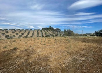 Terreno edificabile CONTRADA VILLA SIBI, Moscufo - foto 5