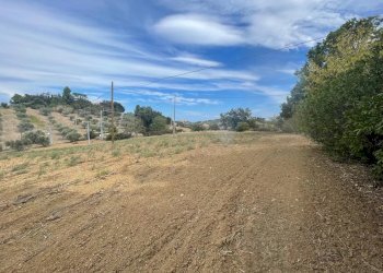 Terreno edificabile CONTRADA VILLA SIBI, Moscufo - foto 6