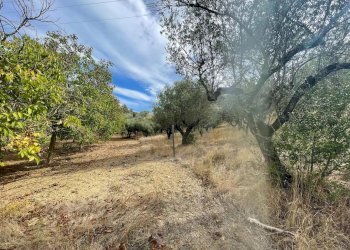 Terreno edificabile CONTRADA VILLA SIBI, Moscufo - foto 7