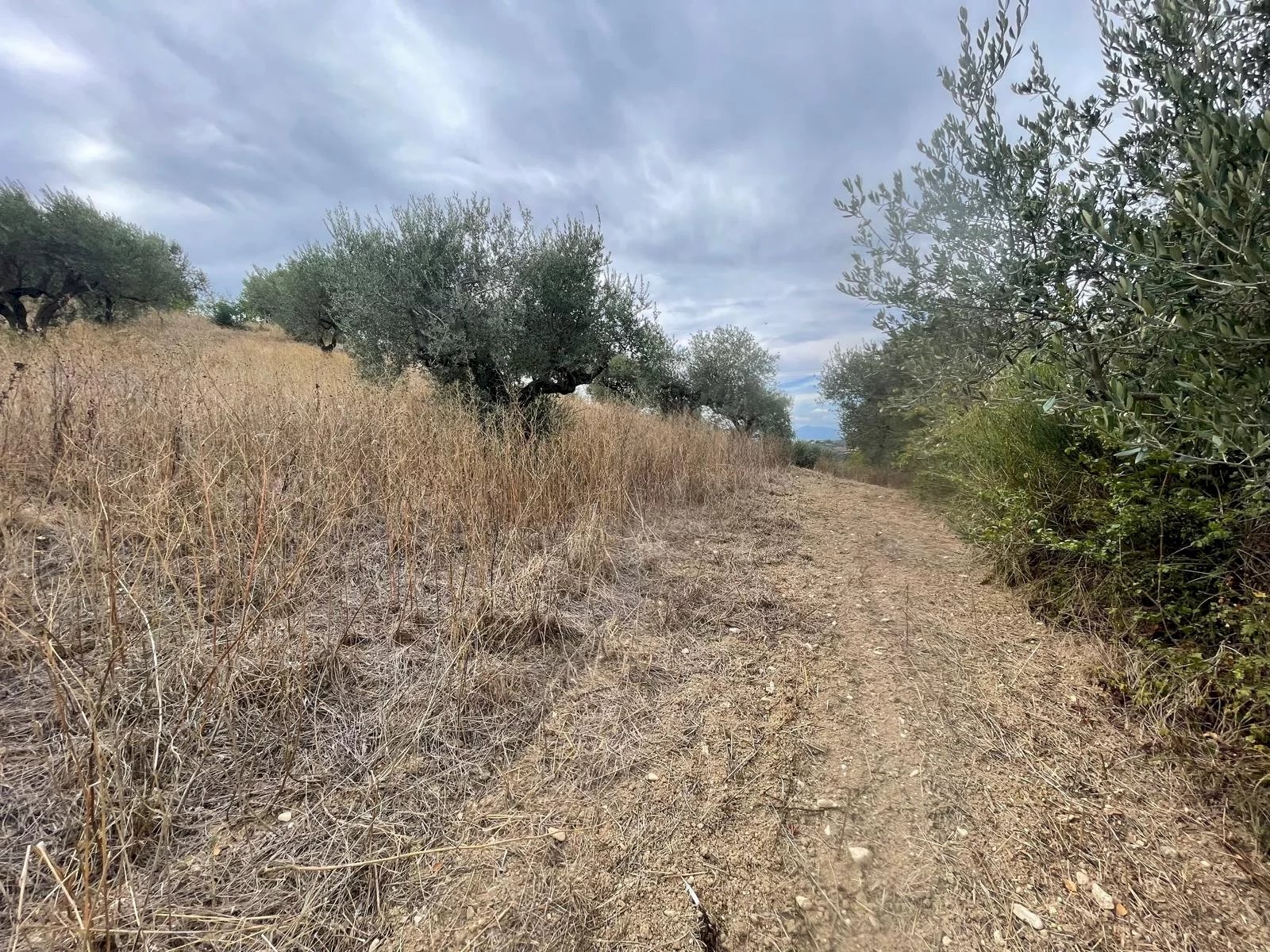 Terreno edificabile CONTRADA VILLA SIBI, Moscufo - foto 3