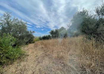 Terreno edificabile CONTRADA VILLA SIBI, Moscufo - foto 2