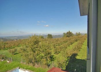 Casa indipendente Belvedere Langhe - foto 12