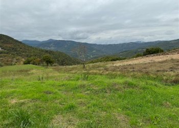 Casale Frazione ossella, Valmozzola - foto 49