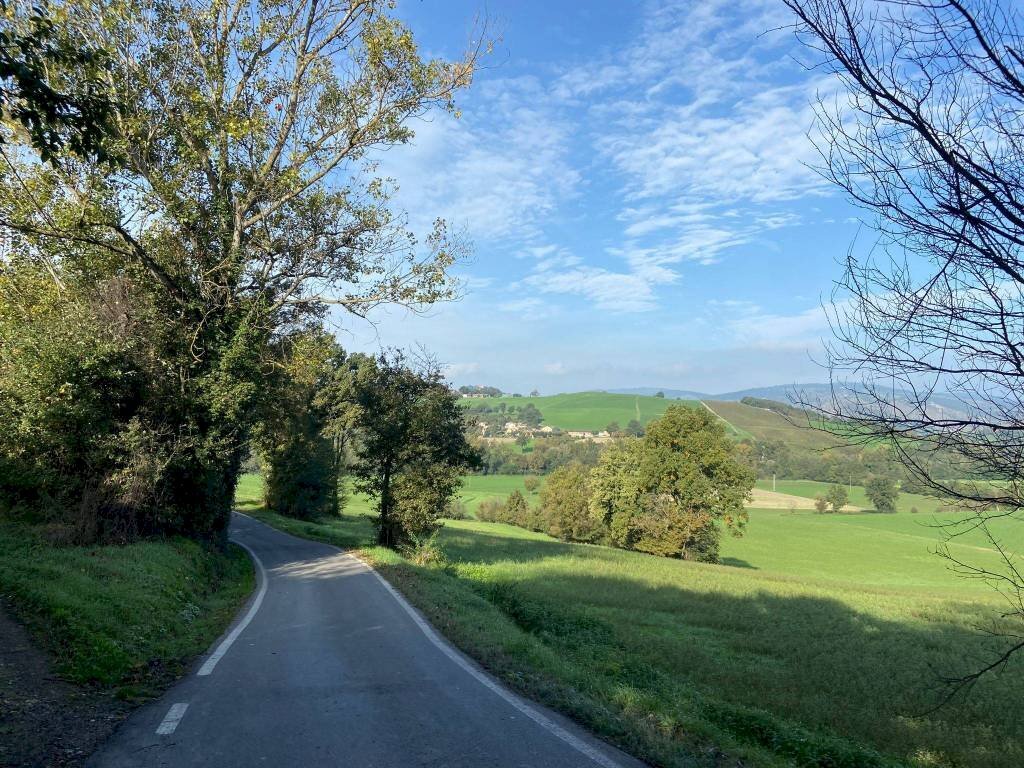 Building land via Manganella, Castellarano - photo 3