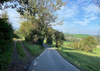 Terreno edificabile via Manganella, Castellarano - foto 8