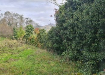 Terreno - Ristorante via Giuseppe Badino, 23, Mignanego - foto 8